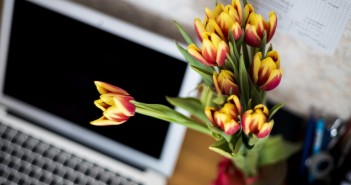 Nowości wydarzeniowe od 22 do 28 maja 2017+ wydarzenia_kwiaty_flowers-871685_1280